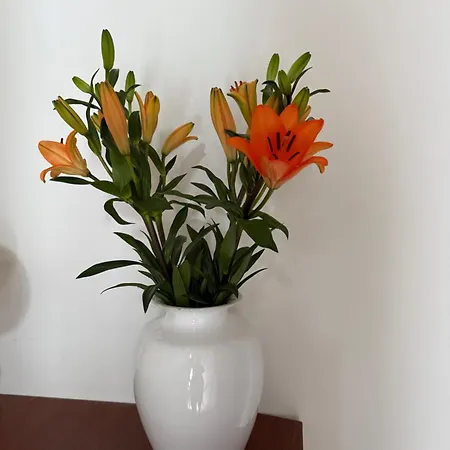 Residenza Il Castello Апартаменты