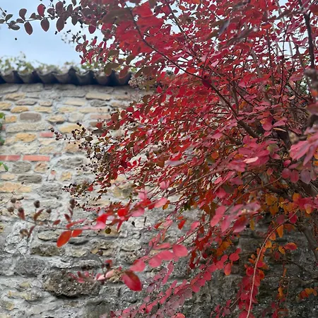 Residenza Il Castello Uno E Due CastellʼArquato