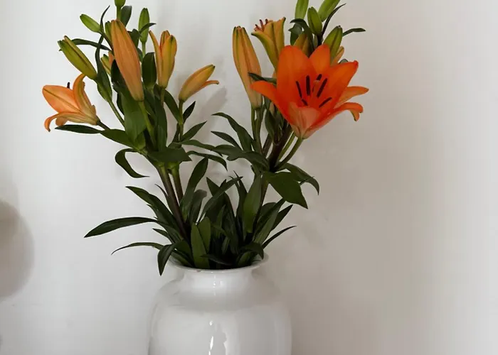 Residenza Il Castello Uno E Due Lejlighed