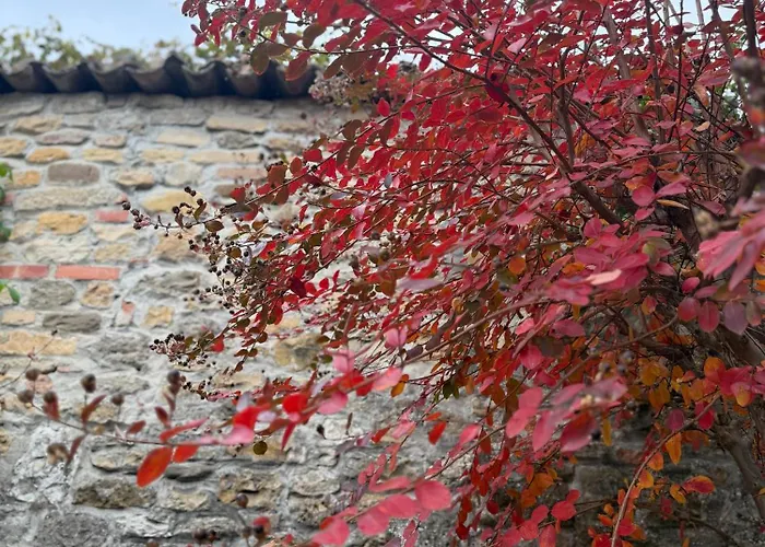 Residenza Il Castello Uno E Due CastellʼArquato